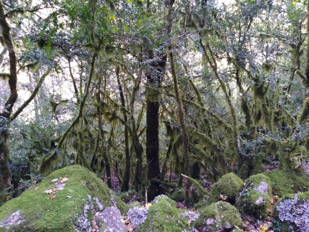 Vila Era De Trespui En Pirineos Peramea Exteriér fotografie